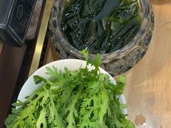 -洪氏嗨捞·猪肚鸡火锅(阳光天地店)