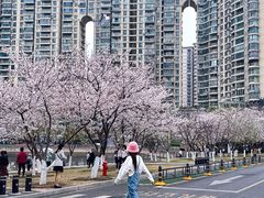-西北湖绿化广场