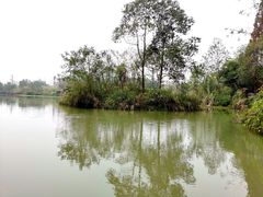 -桤木河湿地公园