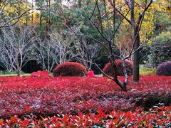 -徐家汇源景区-衡山公园