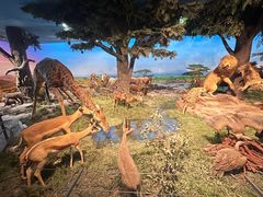 -国家自然博物馆