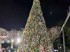 -新城市广场