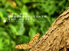-青龙山国家森林公园