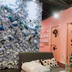 -doladola(徐家汇店)