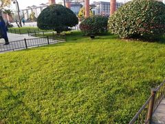 -大雁塔北广场音乐喷泉