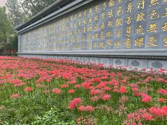 -西安大兴善寺