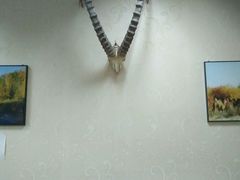 -宝山一号馕坑肉