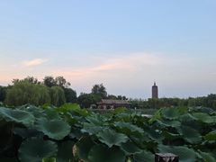 -西海子公园