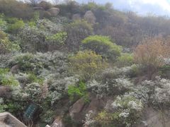 -北京凤凰岭