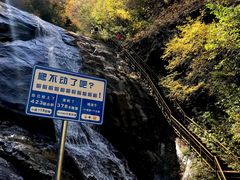 -青峰峡国家森林公园