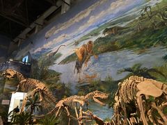 -自贡恐龙博物馆