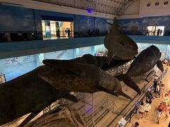 -大连自然博物馆·地球展厅