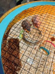 -酷嗒动物文化乐园(cutezoo西溪乐天城店)