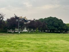 -江心屿景区