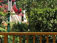 -郑州方特梦幻王国