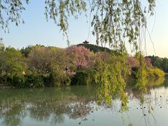 -禹州森林植物园