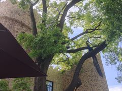 -J Create城市露营咖啡·简餐·宠物(上海动物园店)