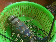 -班赞海鲜市场