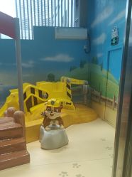 -尼克Playtime(欢乐海岸店)