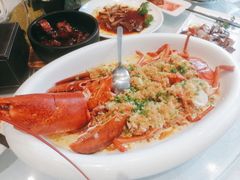 波龙-嘉逸传菜(洛川东路店)