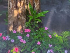 -Chom Cafe and Restaurant