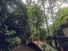-晓雯人家