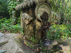 -呀诺达热带雨林