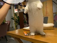 -有何Book(六堰体育馆店)