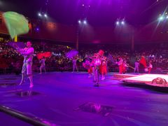 -珠海横琴长隆《卡卡虎奇遇记》