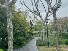 -黄兴公园