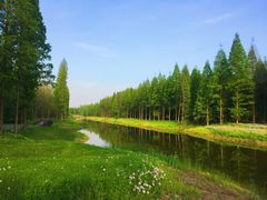 -黄海国家森林公园