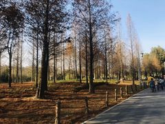 -贵阳市花溪国家城市湿地公园