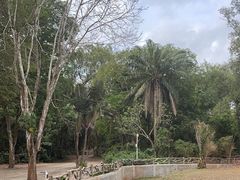 -海南热带野生动植物园