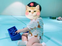 -爱睿思儿童早教亲子游泳(万象城店)