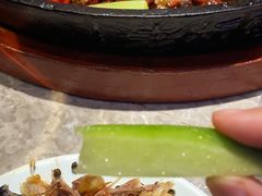 -老板恋上鱼(恒隆广场店)