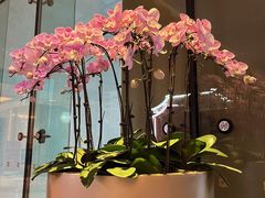 -韵咖啡自助餐厅(天津香格里拉店)