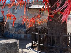 娘娘庙门口的古槐和石碾-水峪民俗村