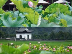 -和顺古镇
