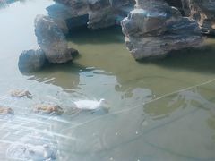-木兰水镇旅游景区