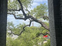 -江心屿景区