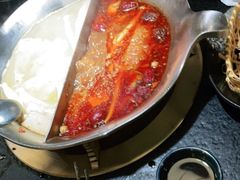 红颜花胶鸡锅-湊湊火锅·茶憩(上海合生汇店)