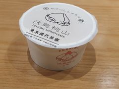 -伏小桃(明瓦廊店)
