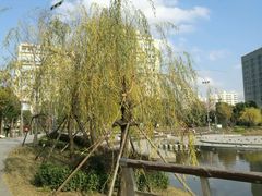 -南翔镇银翔湖公园