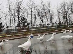 -南宫五洲植物乐园