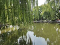 -玲珑塔公园