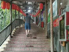 -鲤鱼塘农家山庄