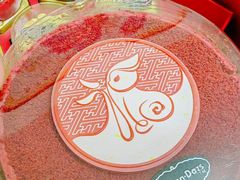 -哈根达斯(西安高新店)