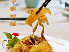 -蝶园·装修中(BFC外滩金融中心店)