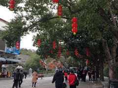 -溪口-滕头旅游景区