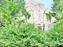 -秦皇岛野生动物园